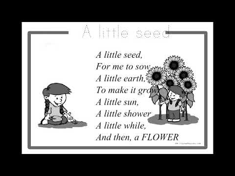 K1 Melafalkan Syair A Little Seed - Poem By Mabel W ( Lyric )