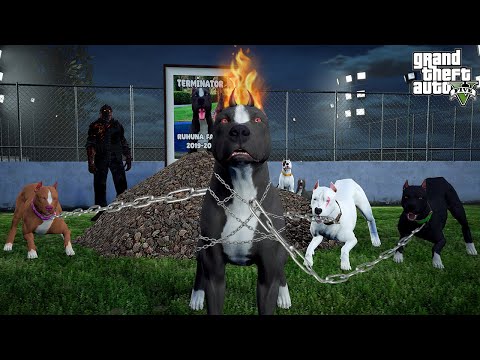 THE TERMINATOR HAS TURNED ON HELL MODE! WHAT'S HAPPENING TO HIM?! - GTA 5 PITBULL'S LIFE