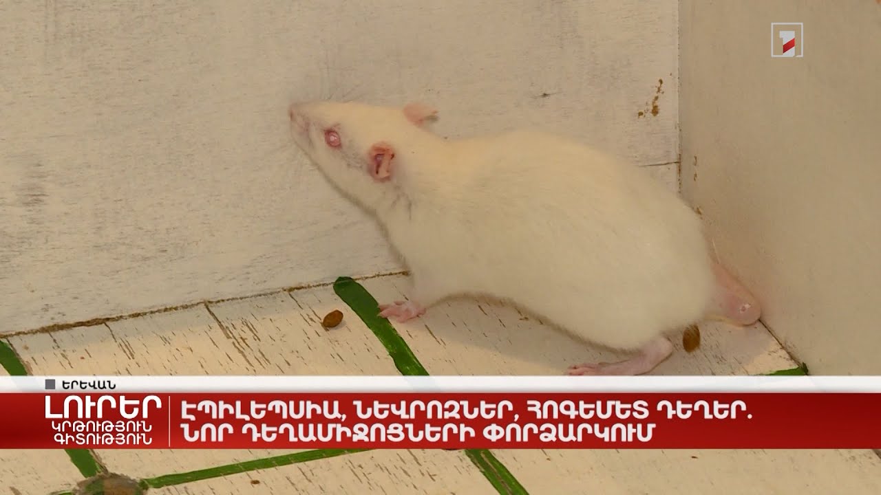 Էպիլեպսիա, նևրոզներ, հոգեմետ դեղեր. նոր դեղամիջոցների փորձարկում