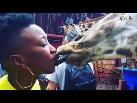 You just cheated on Nameless! Wahu Kisses a giraffe, Kenyans react online