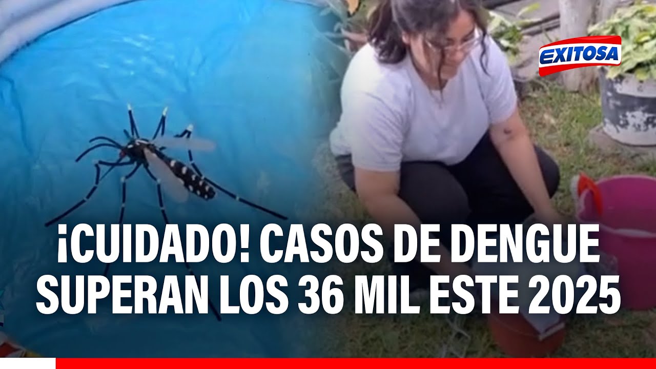 🔴🔵 Casos de DENGUE superan los 36 MIL en lo que va del año: Conoce cómo prevenirlo