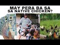 PAANO KUMITA SA PAG AALAGA NG NATIVE CHICKEN