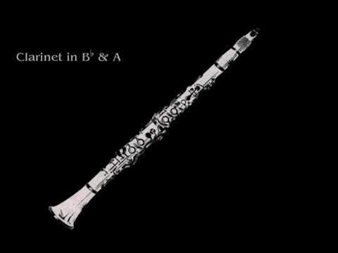 23 Clarinets - Clarinet Choir - Mozart, Symphony no. 25 1st Mov.