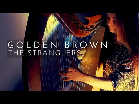 Golden Brown - The Stranglers (Harp Cover)