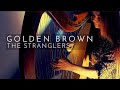 Golden Brown The Stranglers Harp Cover