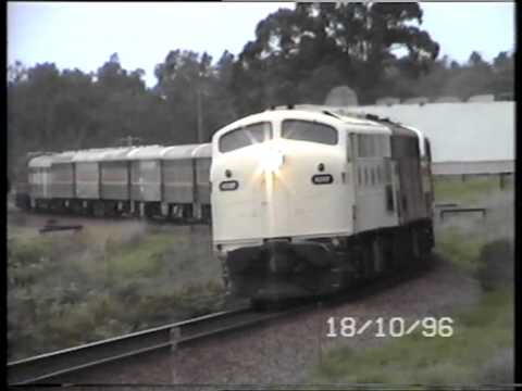 quad 421s at Rosglen