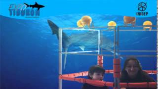 DIA 2 Expo Tiburon31