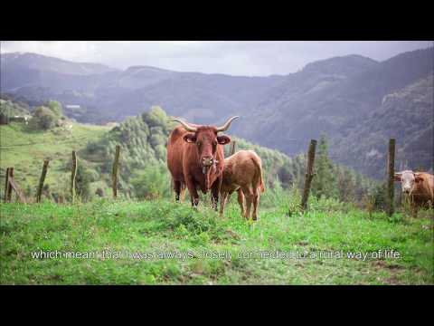 Descubriendo el PAÍS VASCO by @BodegaKatxiña & @AxiMuniainSurfEskola