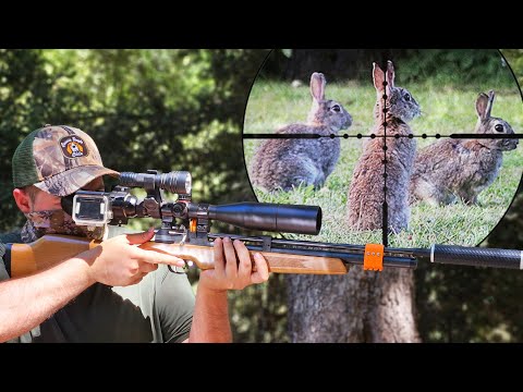 Total infestation!! Don't miss this rabbit hunt!! Rabbits piled up during the day!!