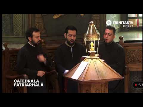 Heruvic - Amfilohie Iordănescu, gl. 8