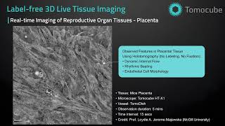 Reproductive Tissues - Label free 3D Live Tissue Imaging