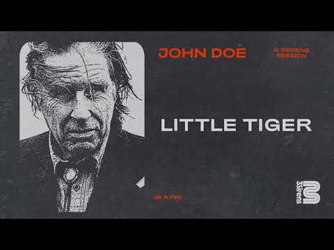 Little Tiger