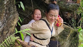 Dig up wild tubers to sell at the market and take care of puppies - Aunt Chung Rural Life