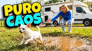 NOSSO MOTORHOME VIROU UM CAOS! 😂🐔