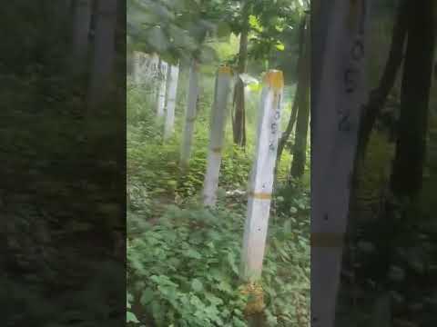 SRINIDHI ENCLAVE PLOT FOR SALE 1056 WEST FACING 300 YARDS