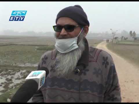 ভরা মৌসুমে বিদ্যুৎ লাইন কেটে দেয়ায় দিশেহারা শতাধিক চাষী | ETV News