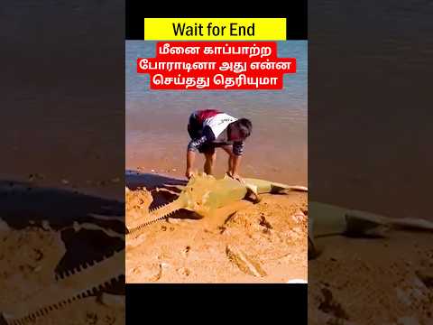 மீனை காப்பாற்ற போராடினா அது என்ன செய்தது தெரியுமா #wild #fish #life #saveing #animals #shorts