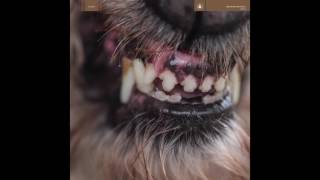 Blanck Mass - Minnesota / Eas Fors / Naked