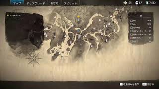 Kena: Bridge of Spiritsやるよー