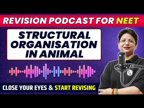 STRUCTURAL ORGANISATION IN ANIMALS in 32 Minutes | Quick Revision PODCAST | Class 11th | NEET