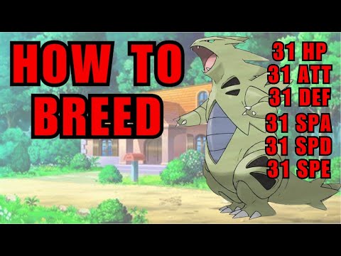 How to Breed in PokeMMO