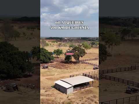 FAZENDA À VENDA EM ESTRELA DO NORTE-GO 60 ALQUEIRES  #fazendaavenda #agro
