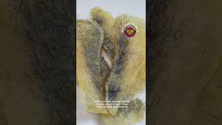 Download lagu brazilian wax maintain last longer #waxing #brazilian #fypシ #arcadia #foryou #waxsugarstudioq mp3