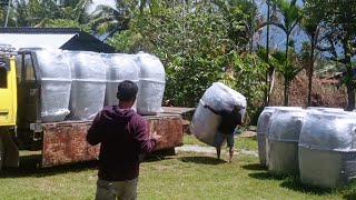 septic tank biotech 1000 liter