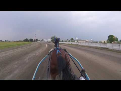 Dolar -F - Boris Kecenovic