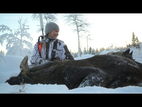 Älgjakt, kulor & krut | Jaktkunskap del 6