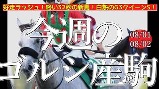 今週のゴールドシップ産駒 (08/01,02)【好走ラッシュ！終い32秒の新馬！白熱のG3クイーンS！／コガネノソラほか】