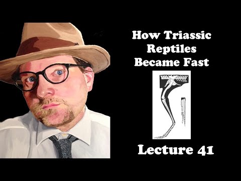 Lecture 41 How Triassic Reptiles Became Fast