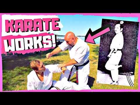 GANKAKU (Chinto) Kata BUNKAI by Iain Abernethy