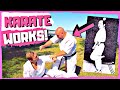GANKAKU Chinto Kata BUNKAI By Iain Abernethy