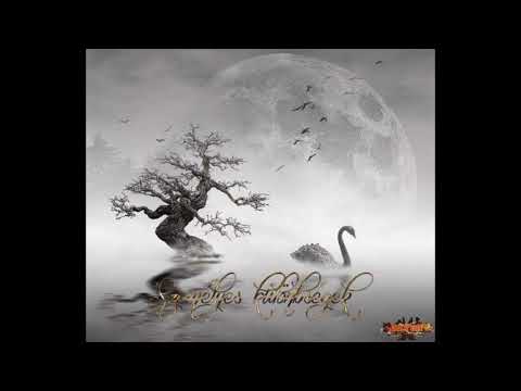 eSGé (MRN) X Az ég a fény