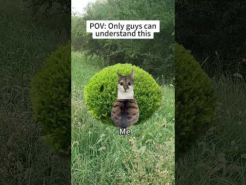 CAT MEMES🐱Only guys can understand this#catmemes #memes #funnymemes #funny #foryou #relationship