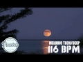 (116BPM) Ben E. King - Stand By Me (Shèmce ...