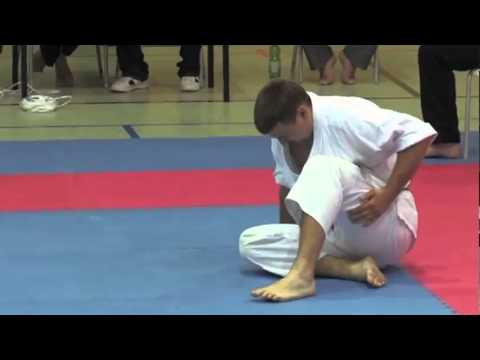 Vidyulin vs. Dabrowski - VIENNA OPEN - Erstes offenes internationales Kyokushin-Kan Turnier