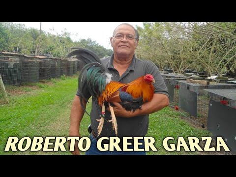 Sweater Yellow leg hatch Grey - ROBERTO GREER GARZA