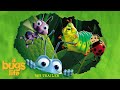 A Bugs Life 1999 VHS Trailer Australia