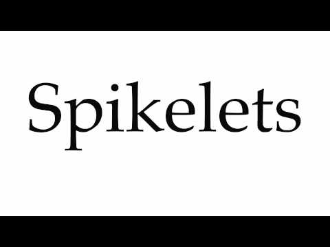 How to Pronounce Spikelets
