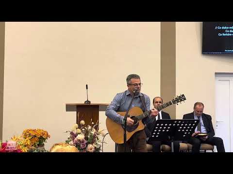 Nicu Zolezsak | Ce Dulce managaiere m-a patruns