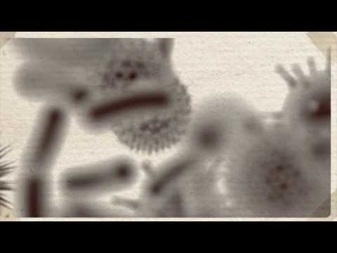 Nationale Forschungsplattform für Zoonosen - Imagefilm