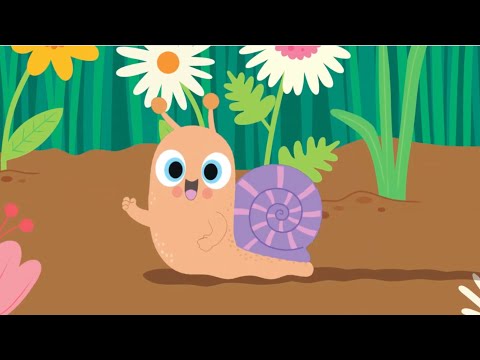 ANIMAL QUIZ ★ MOMLI