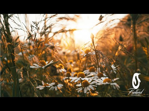 Benedek Sulyok - artificial butterflies