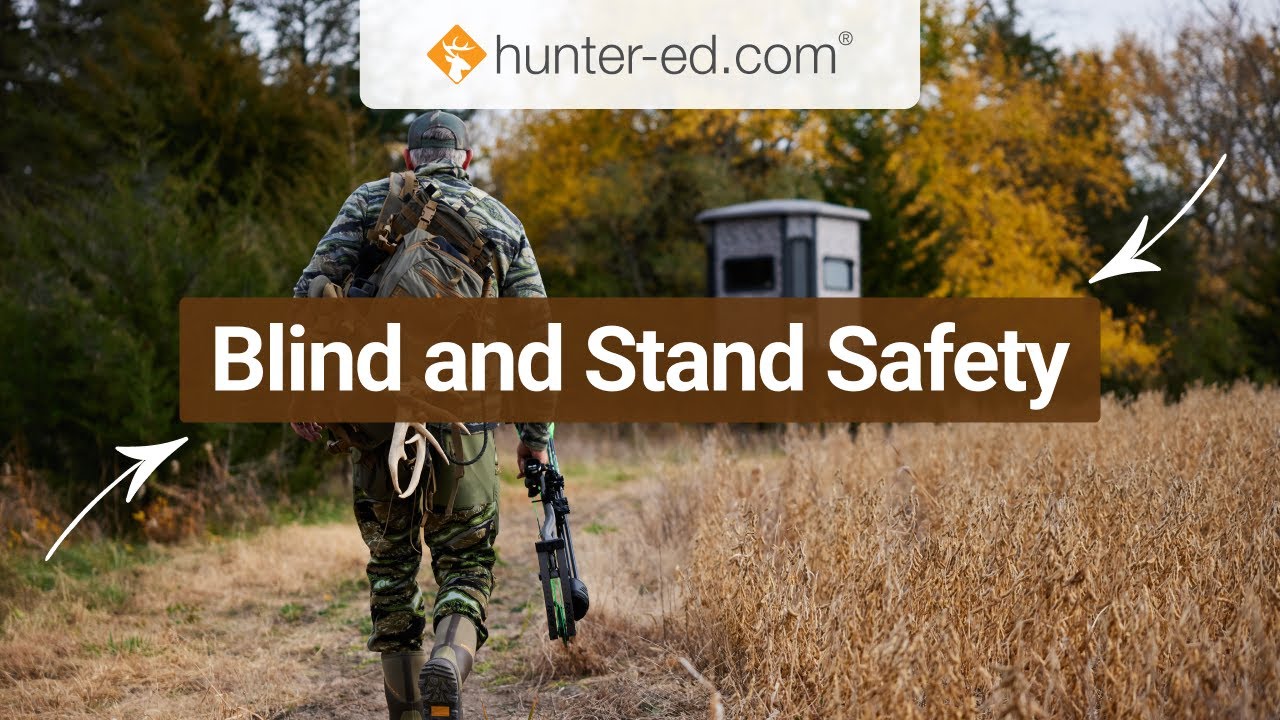 Tree Stand Safety Month