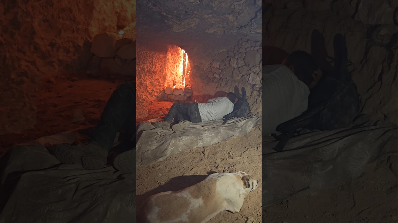 Silent Night in My Underground Shelter with Dog | Cozy Off-Grid Survival