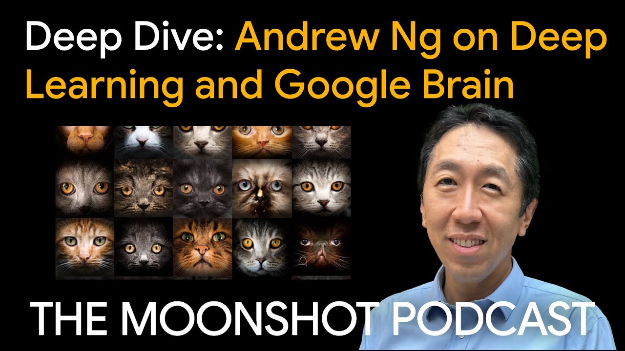 The Moonshot Podcast Deep Dive: Andrew Ng on Deep Learning and Google Brain