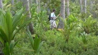 preview picture of video 'Humans Battle Aliens at Playa el Rey Costa Rica - Part 2 (preview) - Eco Tourism 2.0'