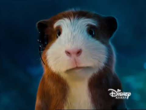 G-Force - Stopping Speckles (English)